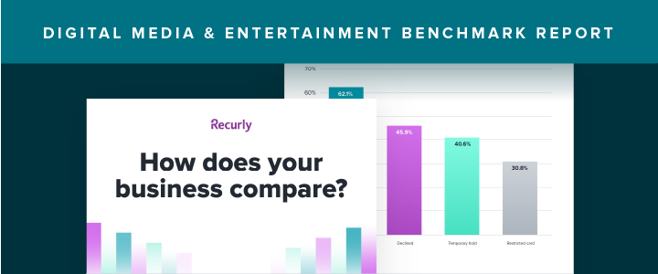 Digital Media & Entertainment Benchmarks 2022